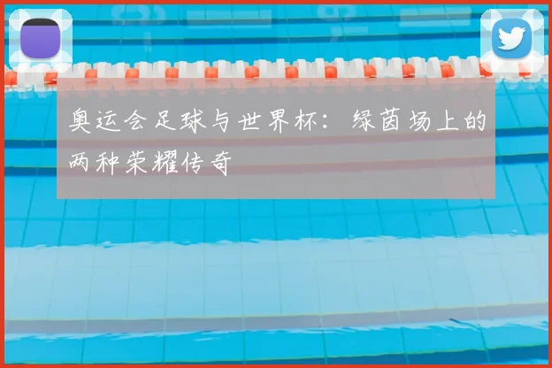 奥运会足球与世界杯：绿茵场上的两种荣耀传奇