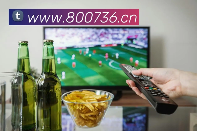 世界杯决赛直播入口平台生态图