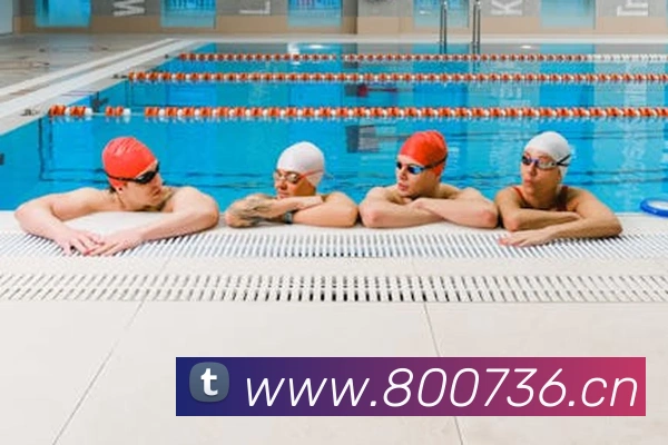 开云app在线入口平台生态图