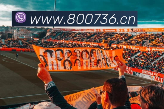 开云app在线入口APP 封面图